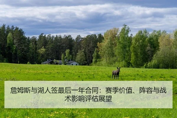 zhan-mu-si-yu-hu-ren-qian-zui-hou-yi-nian-he-tong-sai-ji-jia-zhi-zhen-rong-yu-zhan-shu-ying-xiang-ping-gu-zhan-wang-2-290.jpg